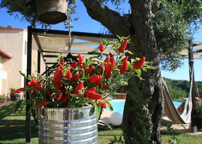 Il Podere Dell\'Angelo Old Country House